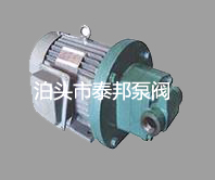 RYB電動內嚙合齒輪泵,電動內嚙合齒輪泵,電動泵
